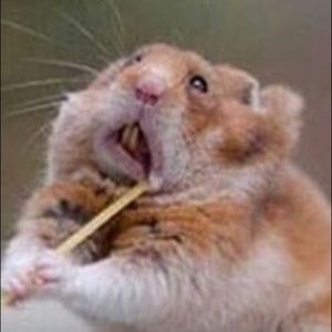 Meet your Posher, Avery